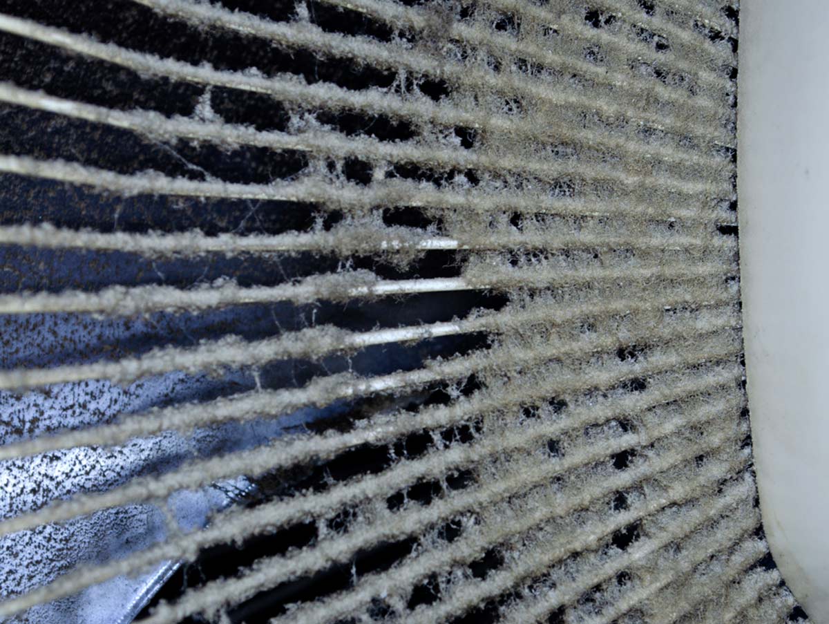 dust collects in an air vent - Ductwork Repair and Installation In Bardstown, KY | Above All Mechanical